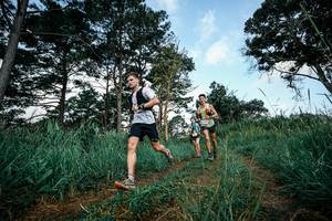 BIB: 
                            <button type="button" onclick="openModal(26005765)" class="btn btn-primary btn-sm float-right btn-popup" data-toggle="modal" data-target=".modal-high-quality">
                        <i class="fas fa-shopping-cart"></i> Add to Cart
                    </button>
                                            <button type="button" onclick="isThisMe(26005765, true)" class="btn btn-success btn-sm float-right btn-popup btn-isme hidden" data-toggle="tooltip" data-placement="bottom" title="นี่คือรูปของคุณใช่ไหม คลิกที่นี่เพื่อเอาเข้าอัลบั้ม">
                        <i class="fas fa-plus"></i> Add to album
                    </button>
                    <button type="button" onclick="isThisMe(26005765, false)" class="btn btn-warning btn-sm float-right btn-popup btn-isnotme hidden">
                        <i class="fas fa-ban"></i> Remove from album
                    </button>